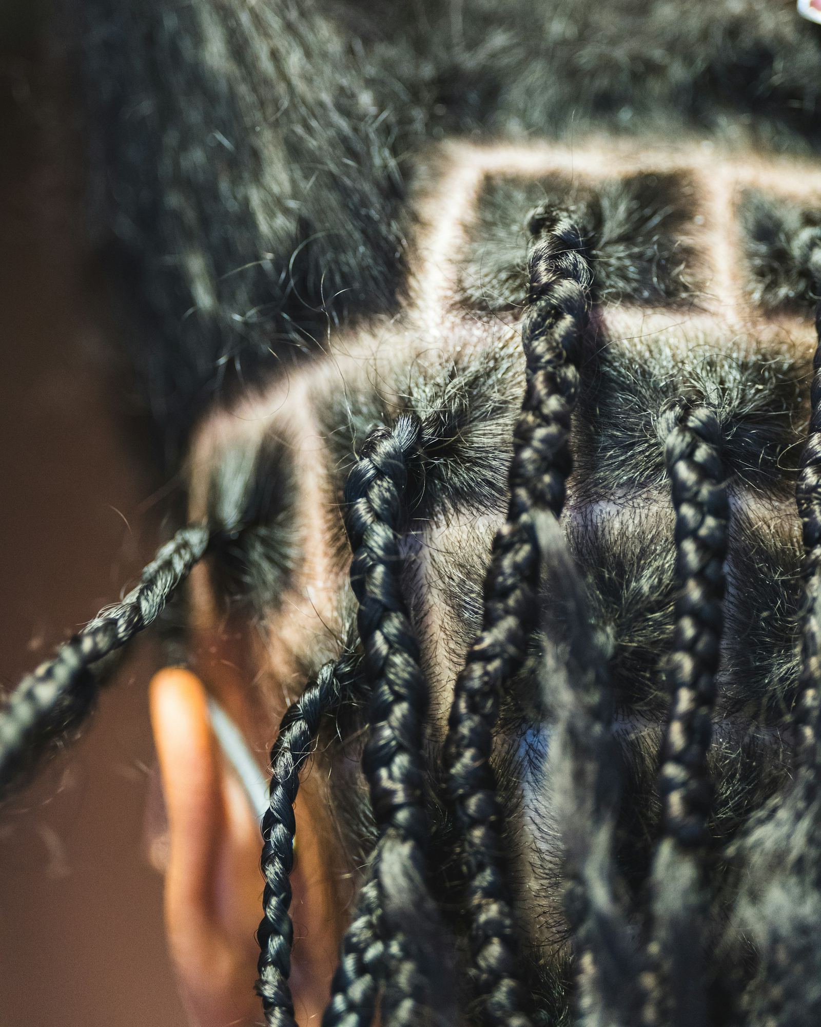 Neat square partings with fresh braids (sample photo)